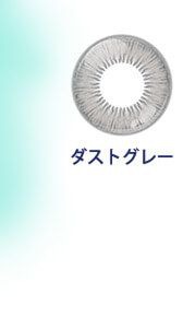 ダストグレー