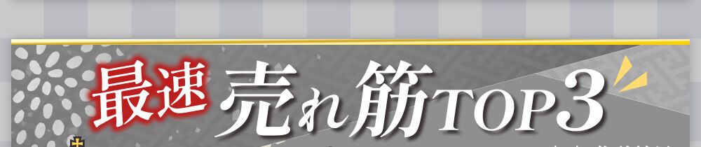 売れ筋ランキング