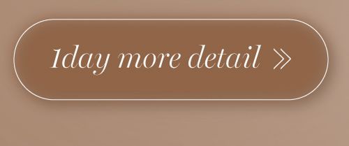 シルエットキャメルワンデー