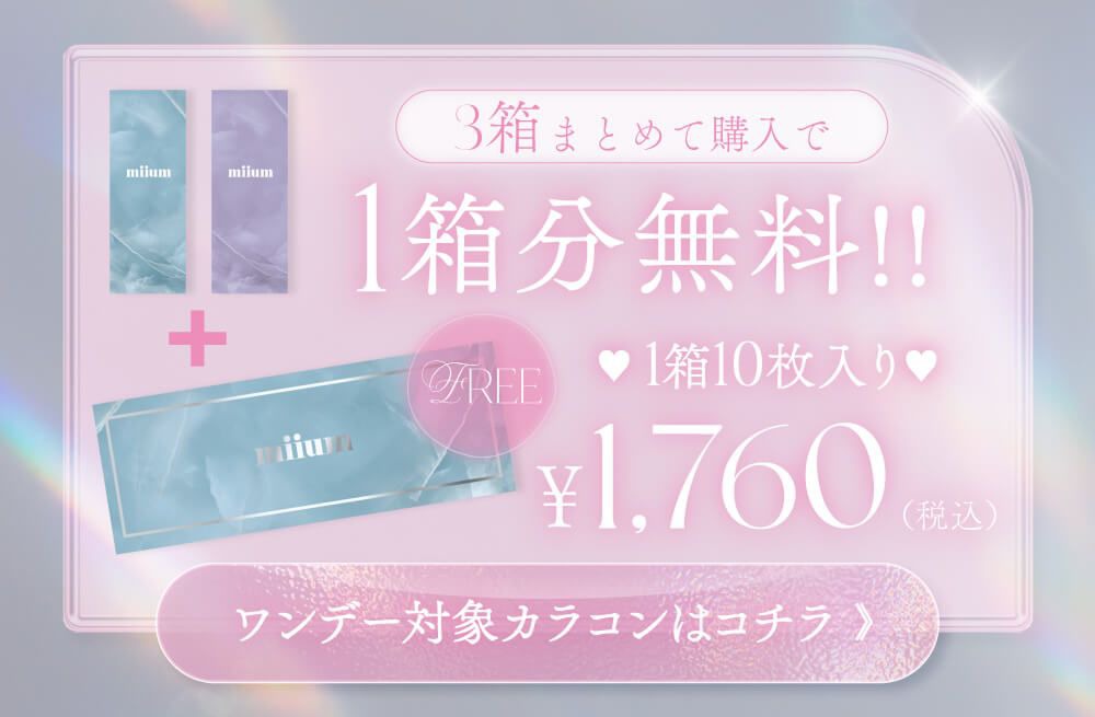 ワンデーバンドル