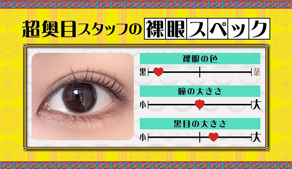 着画スタッフの裸眼スペック