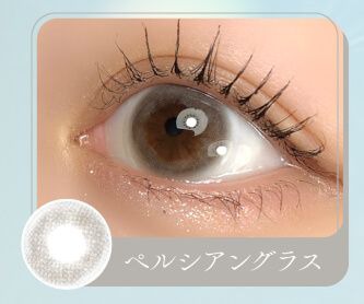 ペルシアングラス