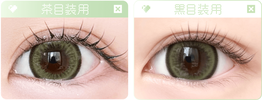 ベリッシュドール（Beriche Doll）｜度あり・度なしカラコン ワンデー｜15.0mm/14.8mm｜AISA