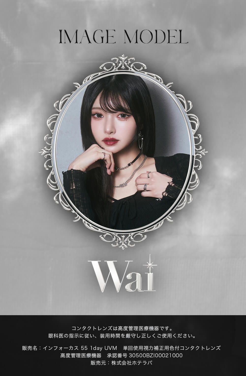 イメージモデルワイ