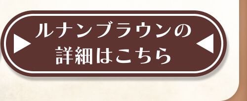 詳細はこちら