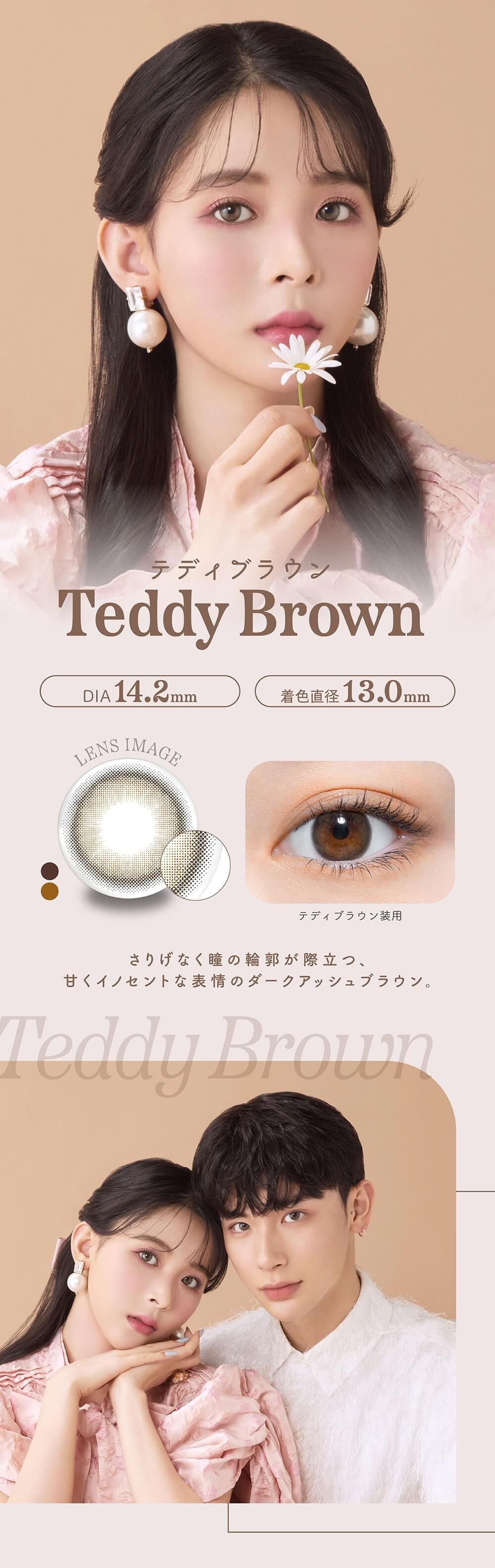 テディブラウン