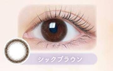 シックブラウン