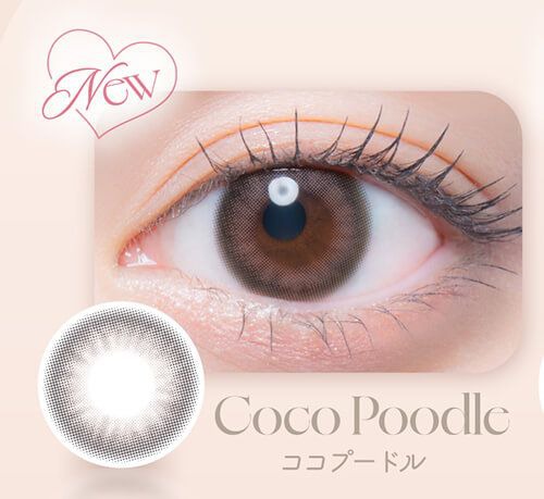 ココプードル
