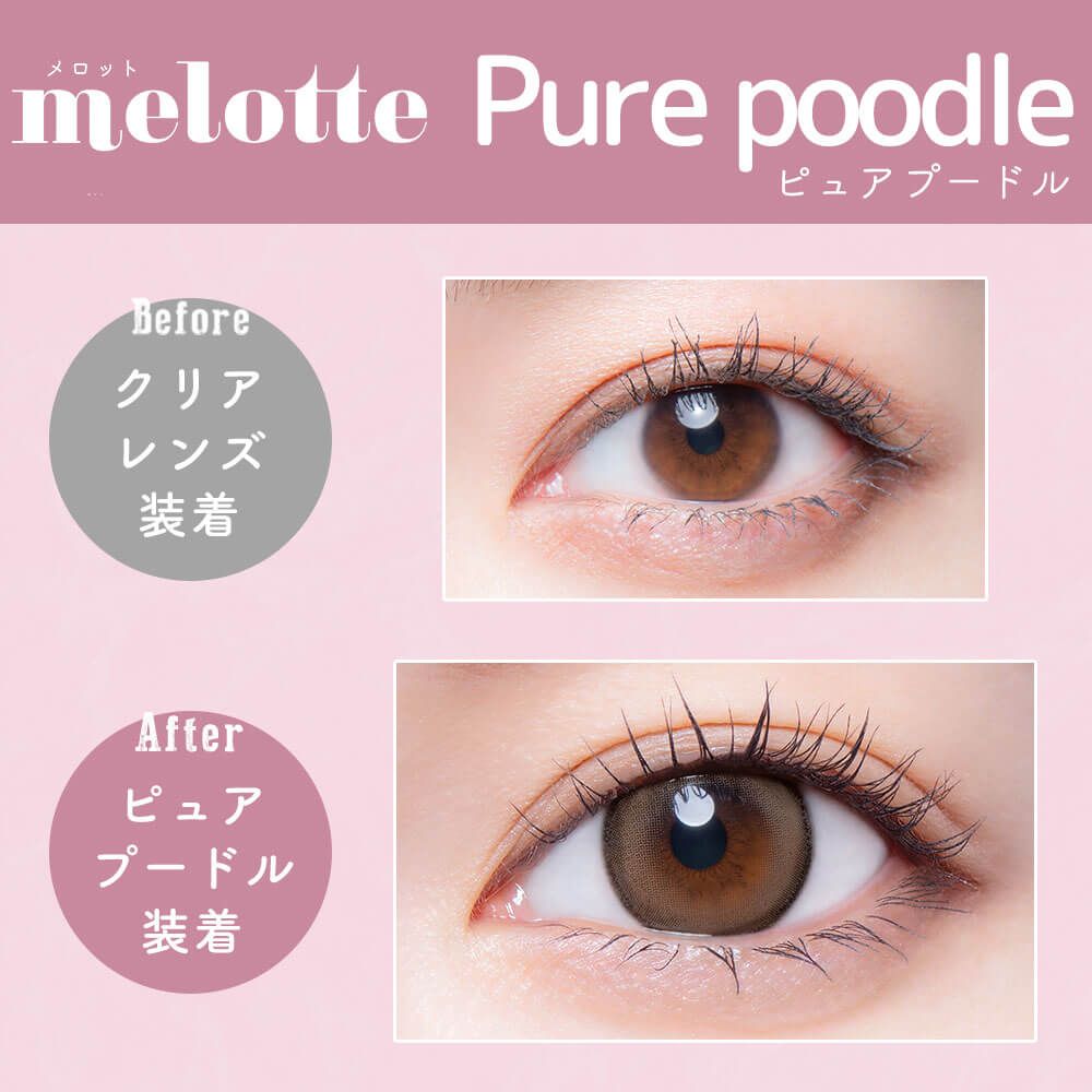 メロット（melotte） ピュアプードル