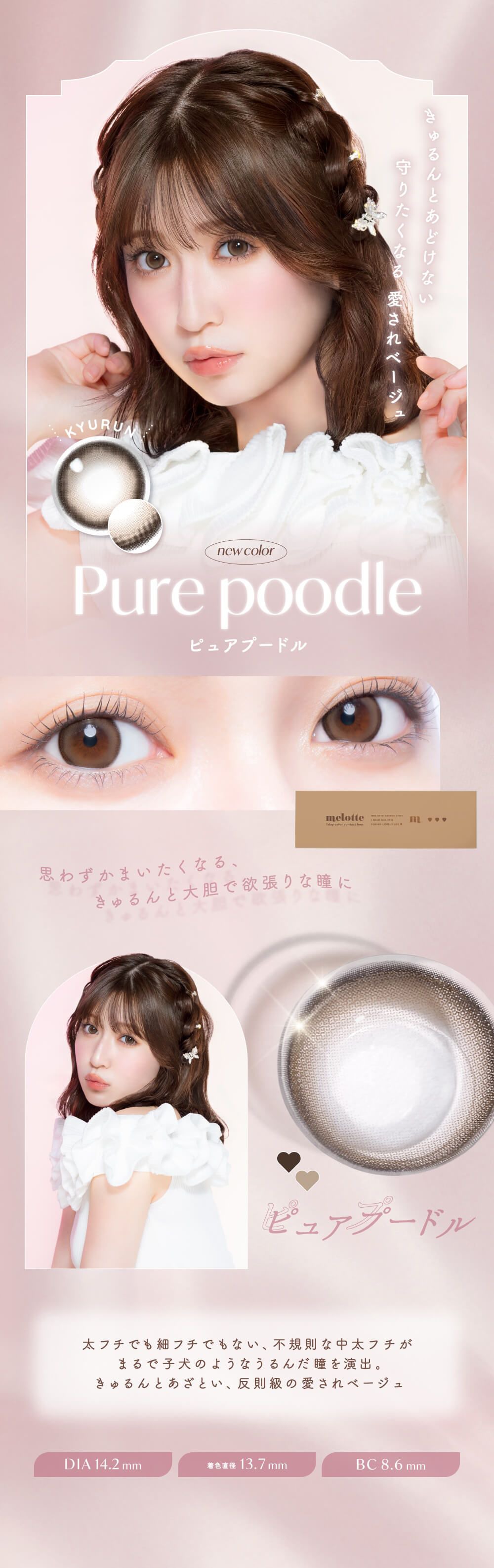ピュアプードル