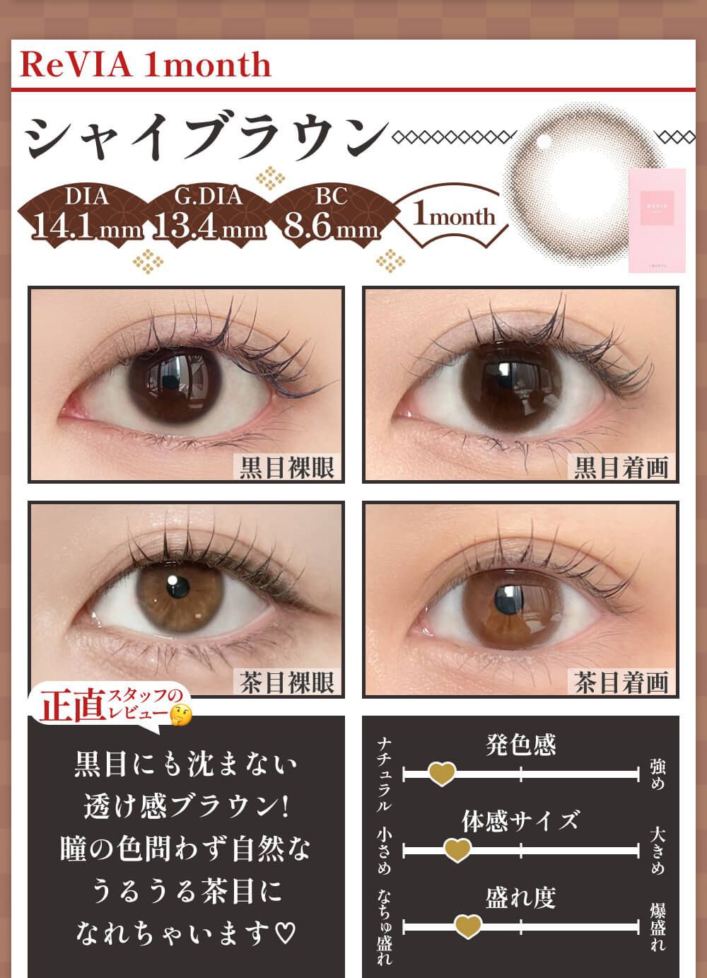 シャイブラウン