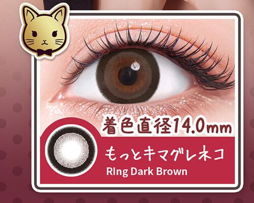 もっとキマグレネコ