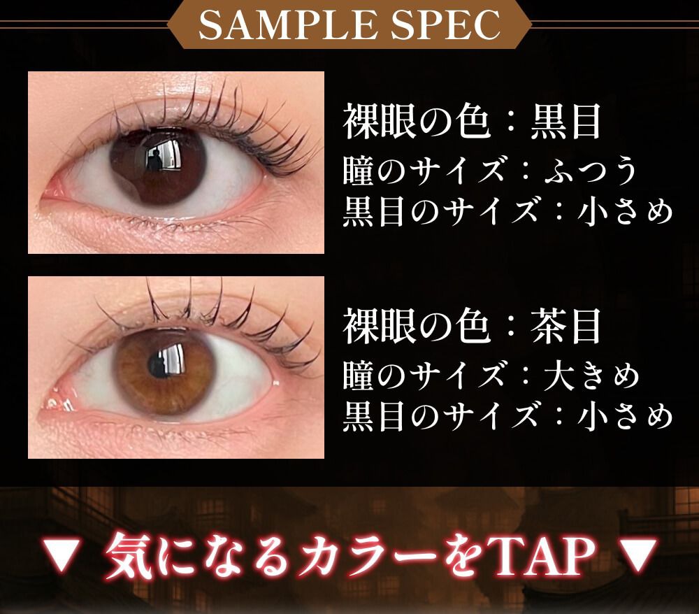 サンプルスペック