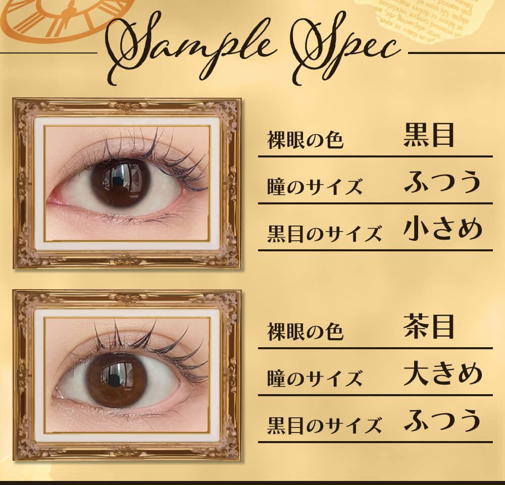 サンプルスペック