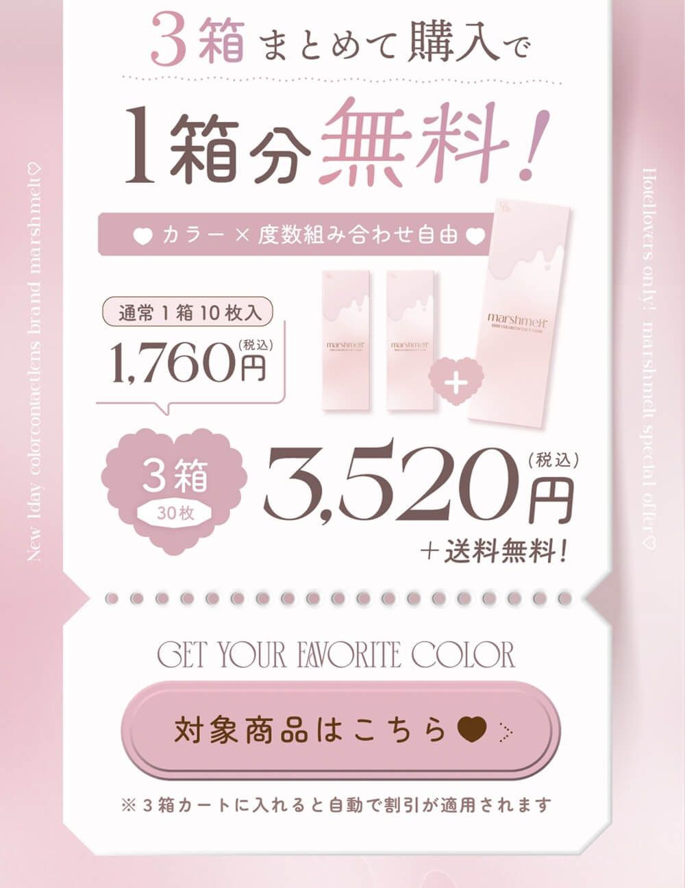 ワンデーバンドル