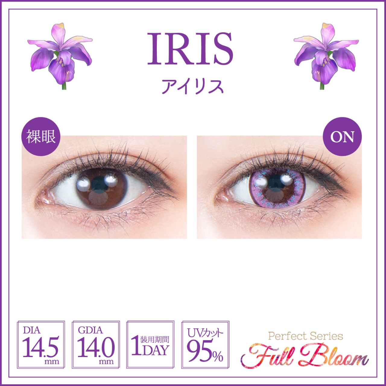 パーフェクトシリーズ フルブルームワンデー（Perfect Series