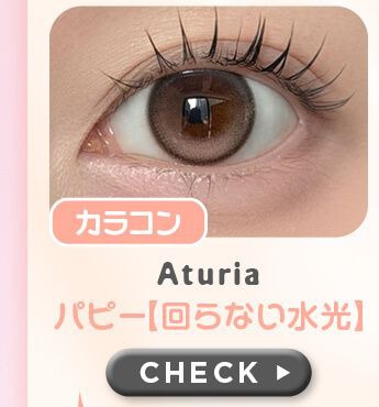 パピー