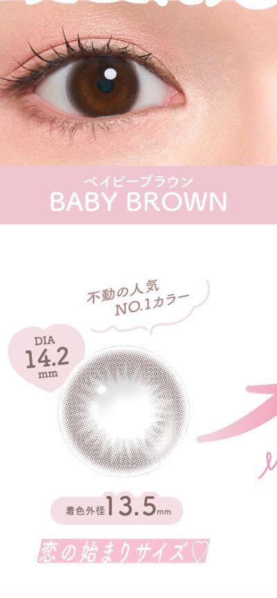 ベイビーブラウン