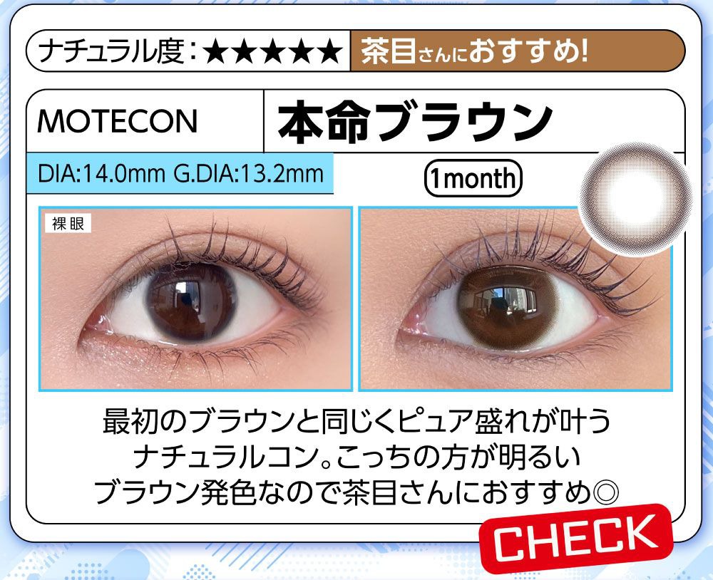 本命ブラウン