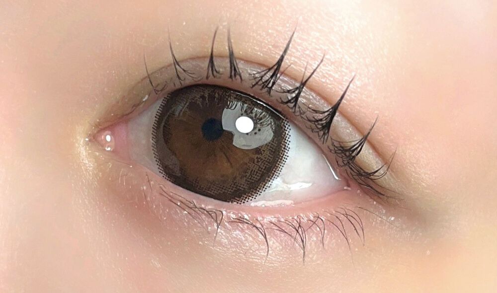 ガウスショコラ着画