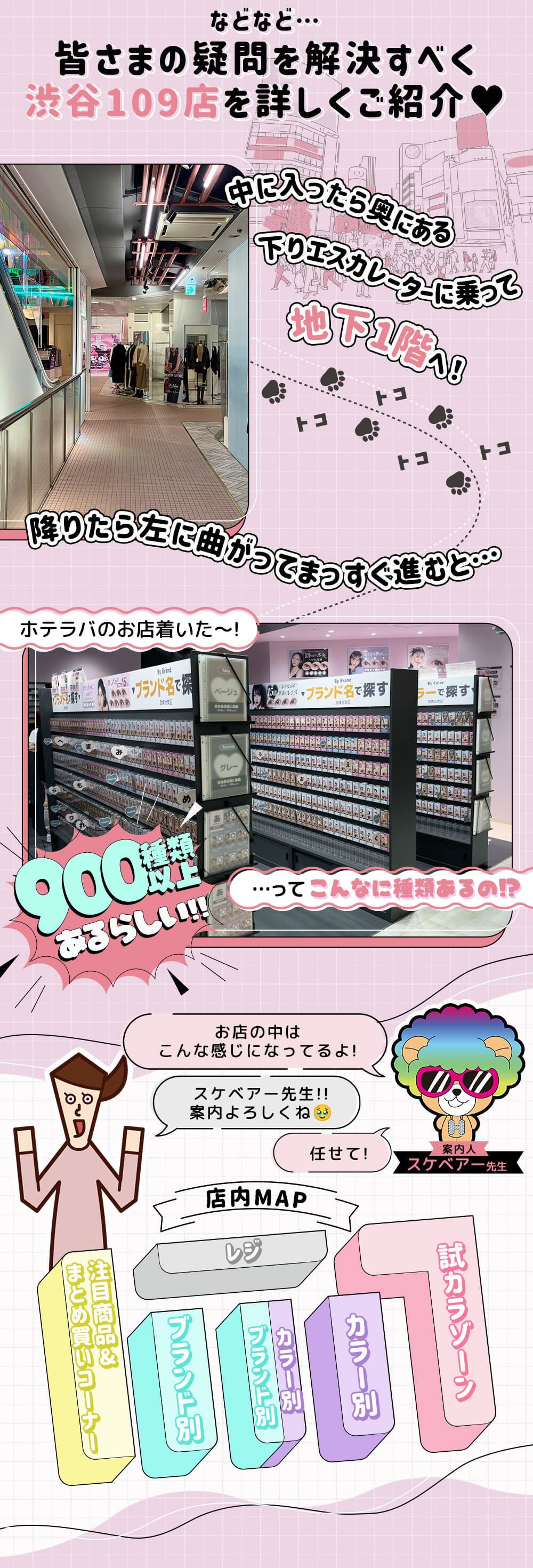 109店を詳しくご紹介