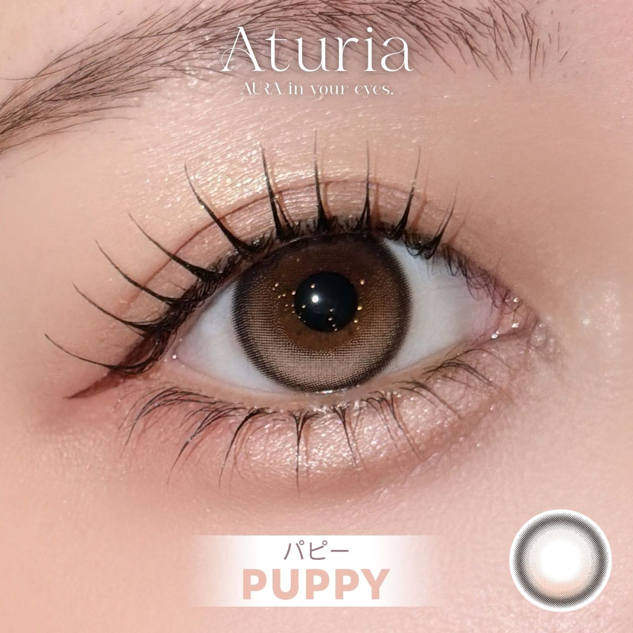 アトゥリア シリコーン ハイドロゲル／シリコン（Aturia silicone hydrogel） パピー【回らない水光】