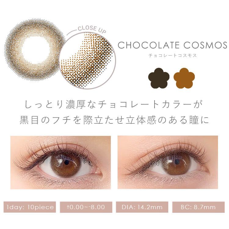 ダイヤ ブルーム（Diya Bloom） チョコレートコスモス