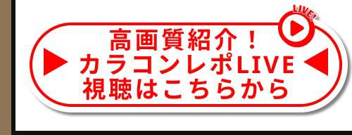 レポライブ